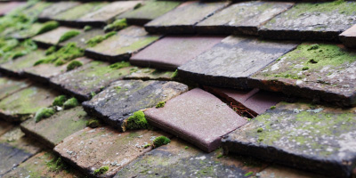 Llandybie roof repair costs